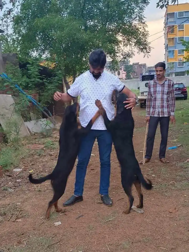 Animal welfare moment 10